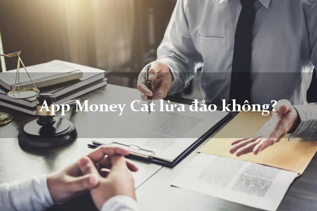 App Money Cat lừa đảo không?